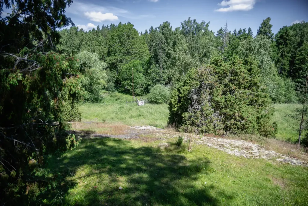 Öppet och grönskande landskap vid Blackfjärden längs Upplandsleden från Lillkyrka.